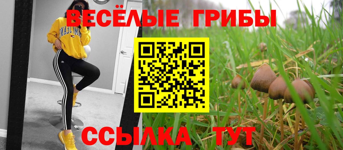 закладка  Псилоцибиновые грибы Magic Shrooms  Вход с VPN  Кумертау 